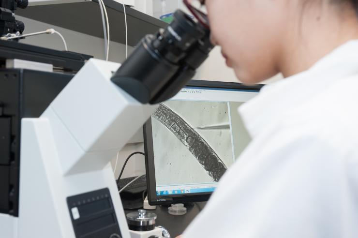 CRISPR DNA injection station